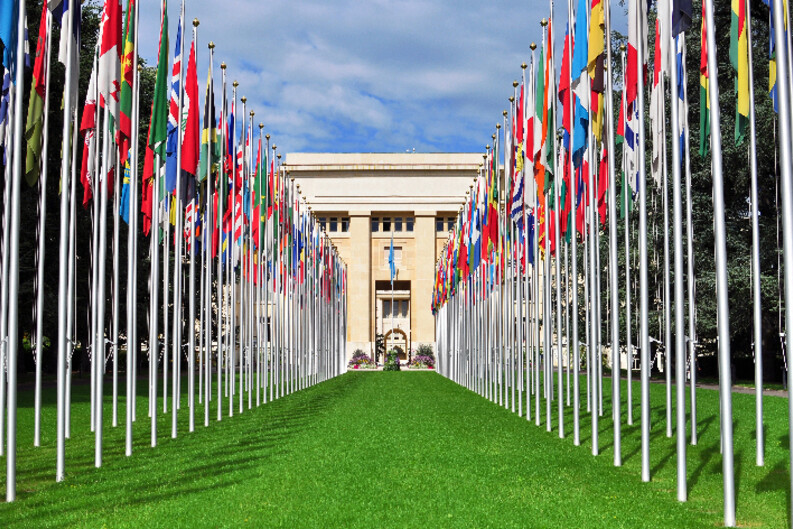 The Palais des Nations in Geneva, a large columned building framed by a vast green lawn and two rows of flags of various nations